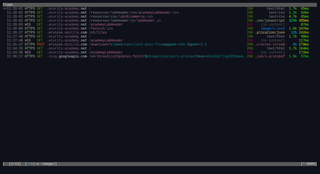 mitmproxy with a lot of requests